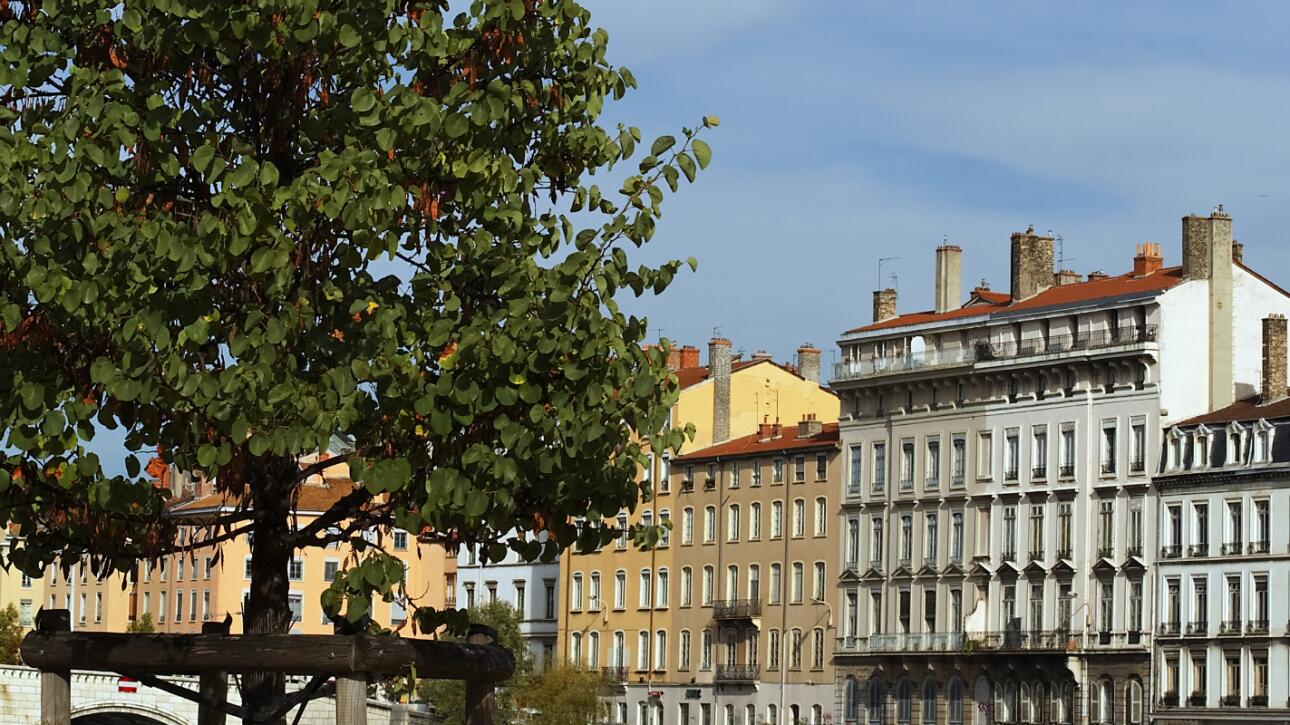 Cabinet d’ostéopathie à proximité de Castelginest, à Saint-Alban