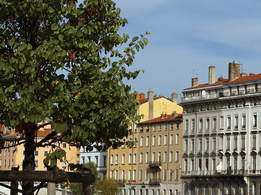 Cabinet d’ostéopathie à proximité de Castelginest, à Saint-Alban